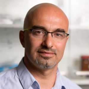 Mark Schvartzman
